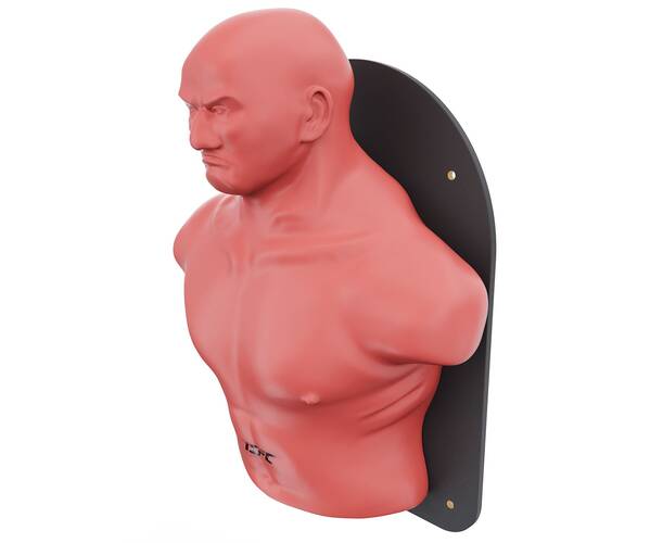 Настенный боксерский манекен WALL-MOUNTED PUNCHING MAN TLS-W, фото 2