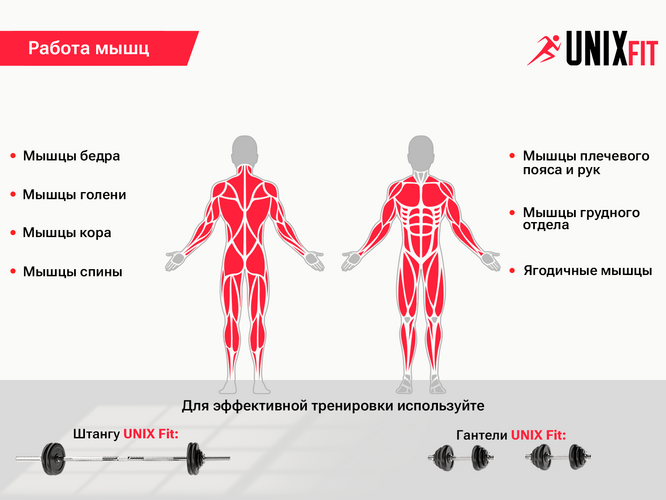 Скамья силовая со стойками UNIX Fit BENCH 120, фото 12