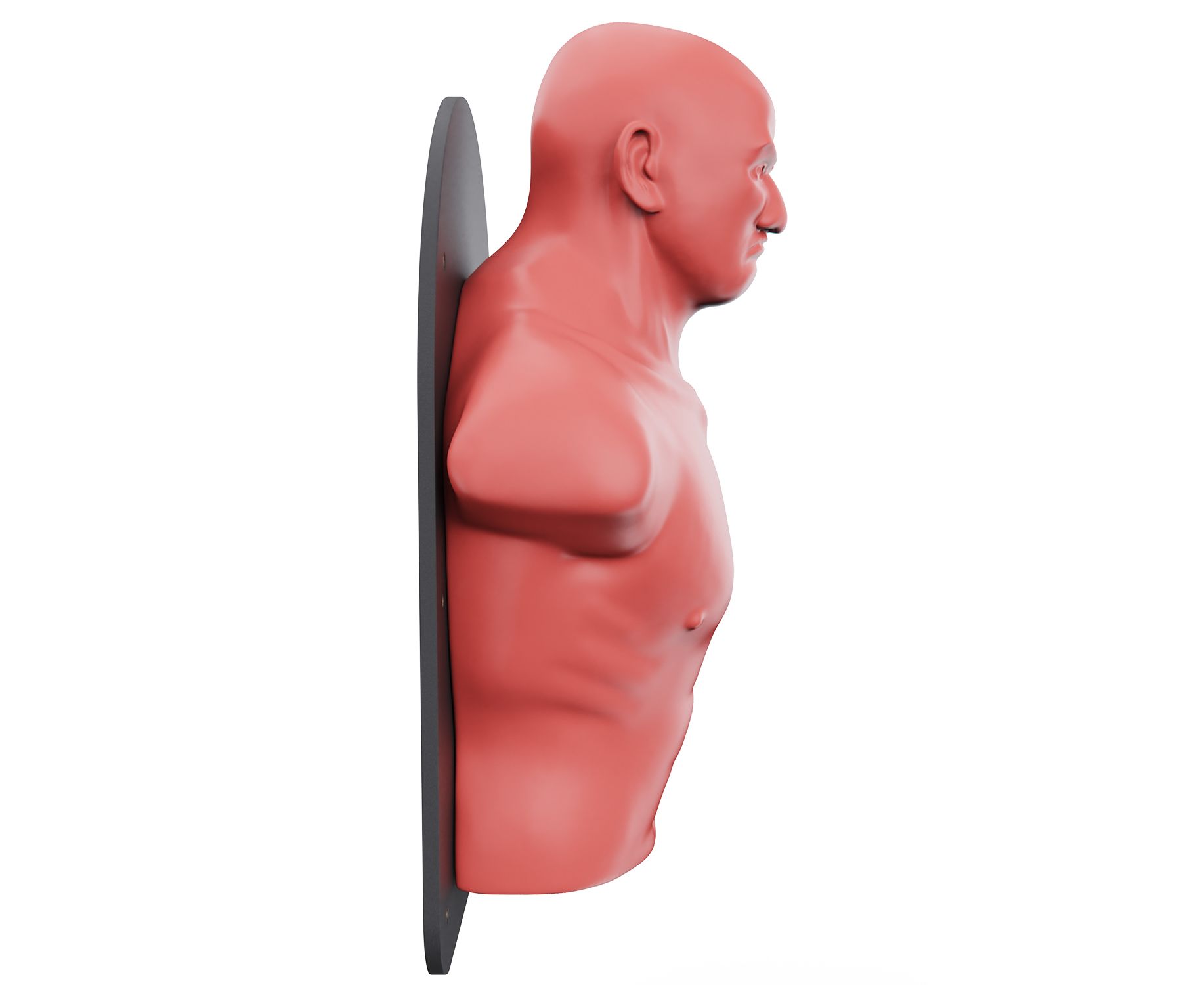 Настенный боксерский манекен WALL-MOUNTED PUNCHING MAN TLS-W