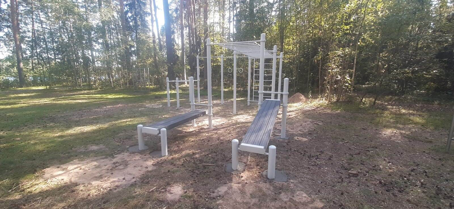 Сборка и монтаж уличных спортивных комплексов воркаут